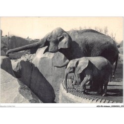 AIDP8-ANIMAUX-0769 - un élephant d'asie femelle et micheline - jeune éléphant d'afrique
