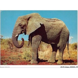 AIDP8-ANIMAUX-0768 - élephants