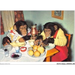 AIDP6-ANIMAUX-0505 - famille de singe