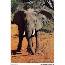 AIDP8-ANIMAUX-0773 - faune africaine - african fauna - élephant