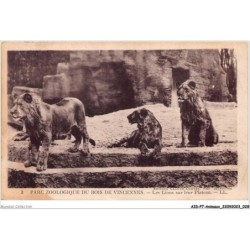 AIDP7-ANIMAUX-0598 - parc zoologique du bois de vincennes - les lions sur leur plateau