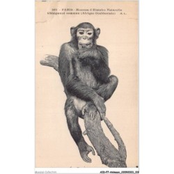 AIDP7-ANIMAUX-0642 - paris - museum d'histoire naturelle chimpanzé commun