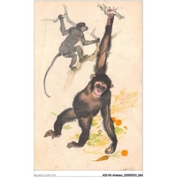 AIDP6-ANIMAUX-0510 - young chimpanzee and sooty mangabey