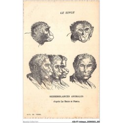 AIDP7-ANIMAUX-0682 - le singe - ressemblances animales d'après le brun et porta