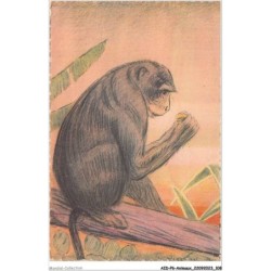 AIDP6-ANIMAUX-0531 - exposition coloniale internationale de paris - singe â la banane