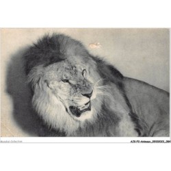 AJKP2-0156 - ANIMAUX - UN LION