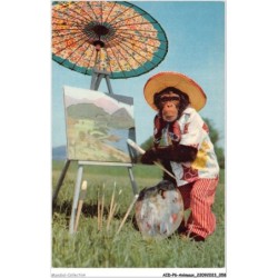 AIDP6-ANIMAUX-0506 - peinture de singe