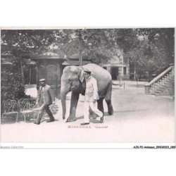 AJKP2-0158 - ANIMAUX - ELEPHANT - INDE