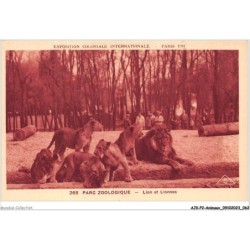 AJKP2-0145 - ANIMAUX - PARC ZOOLOGIQUE - LION ET LIONNES