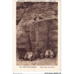 AJKP2-0167 - ANIMAUX - PARC ZOOLOGIQUE - SINGES DANS LES ROCHERS