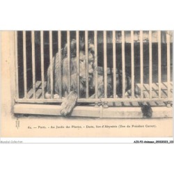AJKP2-0179 - ANIMAUX - PARIS - AU JARDIN DES PLANTES - DESTA - LION D'ABYSSINIE - DON DU PRESIDENT CARNOT
