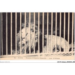 AJKP2-0143 - ANIMAUX - PARIS - MUSEUM D'HISTOIRE NATURELLE - LION D'AFRIQUE