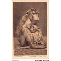 AJKP2-0141 - ANIMAUX - SCHWEINSAFFE