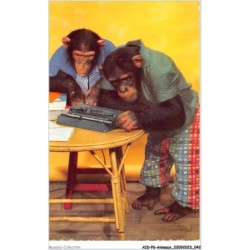 AIDP6-ANIMAUX-0498 - singes