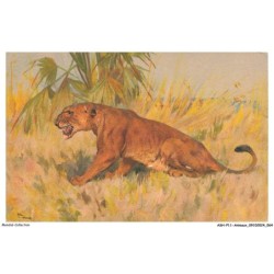 ASHP11-0693-ANIMAUX - LE LION