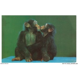ASHP12-0765-ANIMAUX - MONKEY BUSINESS