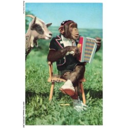 ASHP13-0823-ANIMAUX - LE SINGE MUSICIEN ET LA CHEVRE