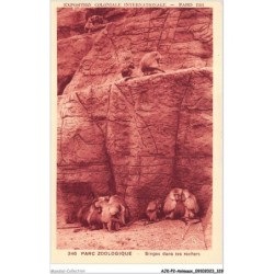 AJKP2-0178 - ANIMAUX - PARC ZOOLOGIQUE - SINGES DANS LES ROCHERS