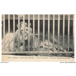 ASHP11-0682-ANIMAUX - PARIS - JARDIN DES PLANTES - LION D'AFRIQUE - DON DU CAPITAINE BOUTIQ