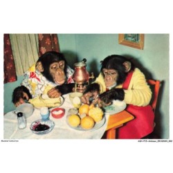 ASHP15-0920-ANIMAUX - DES SINGES A TABLE POUR UN REPAS