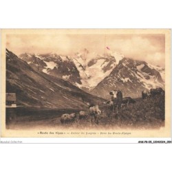 ANKP8-0625-05 - La route des alpes - Autour du QUEYRAS - Dans les hauts-alpages