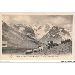 ANKP8-0682-05 - Autour du QUEYRAS - Au col du lautaret