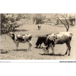 ANKP10-0855-05 - PONT DES FOSSES