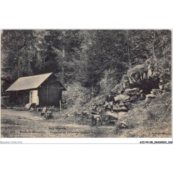 AJIP4-05-0346 - Forèt de BOSCODON - Fontaine de l'ours et cabane forestiere