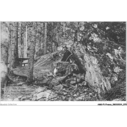 AMGP1-0040-05 - LES ALPES - Foret du grand morgan - La fontaine