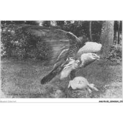ANKP8-0683-05 - Dans les alpes - Le grand aigle