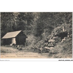ANKP8-0620-05 - FORET DE BOSCODON - Fontaine de l'ours et cabane forestière