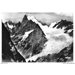 ATDP11-0849-05 - LES ECRINS - Et le glacier blanc vus en montant aux agneaux