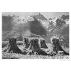 ATDP11-0896-05 - été a - LA GRAVE - Vue générale