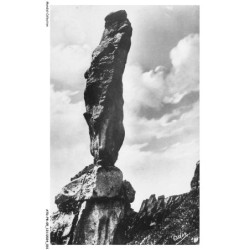 ATDP8-0584-05 - Les alpes - Sur les pentes du CHAILLOL - Une aiguilla