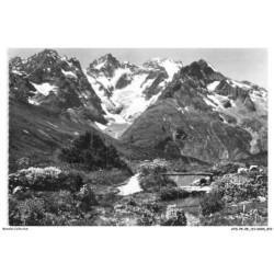 ATDP9-0699-05 - COL DU LAUTARET - Jardin alpin