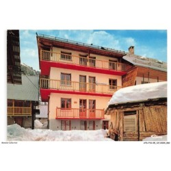 ATDP10-0781-05 - Hôtel de la plaine fleurie - VALLOUISE - Saison été-hiver - Morand propriétaire