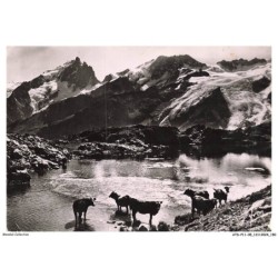 ATDP11-0913-05 - LA GRAVE - Plateau d'en-paris - Le lac lérié - La meije le rateau et le glacier