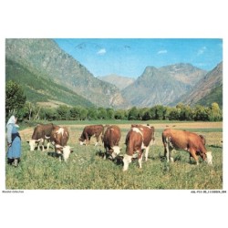 ASLP12-0804-05 - Vaches au paturage
