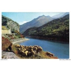 ASLP12-0809-05 - BARRAGE DE SERRE-PONCON - Paturage au bord du lac