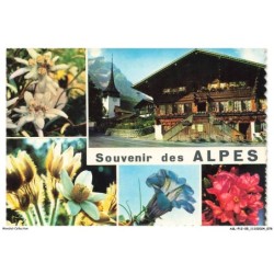 ASLP12-0796-05 - LES ALPES - Divers paysages