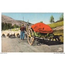 ASLP14-0936-05 - Transhumance - Sur la route