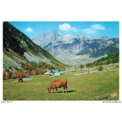 ASLP12-0775-05 - CEILLAC EN QUEYRAS - Vallée du mezelet