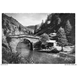 ASLP13-0852-05 - LE QUEYRAS - ENVIRONS D'AIGUILLES - Vieux pont sur le guil