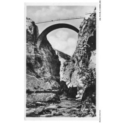 ASLP14-0926-05 - BRIANCON - Le pont d'astela sur la durance