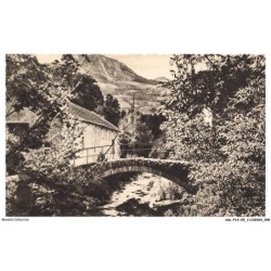 ASLP14-0938-05 - GAP - Le pont de burle