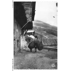 ASLP14-0970-05 - SAINT-VERAN - Rentrée des foins