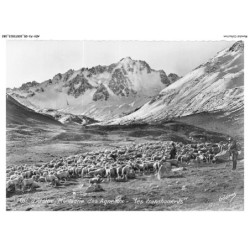 AEVP3-0230-05 - COL D'ARSINE - Montagne des agneaux - Les transhumants