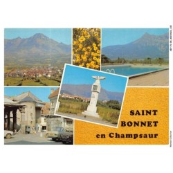 AEVP3-0254-05 - SAINT-BONNET-EN-CHAMPSAUR - Divers aspects