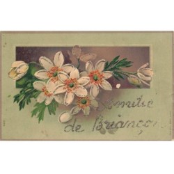 AHEP12-0074- 05 AMITIE DE BRIANCON FLEURS