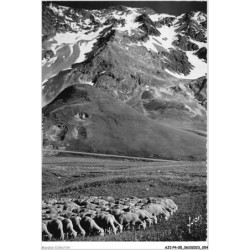 AJIP4-05-0365 - COL du LAUTARET - Les transhumants et le massif du combeynot